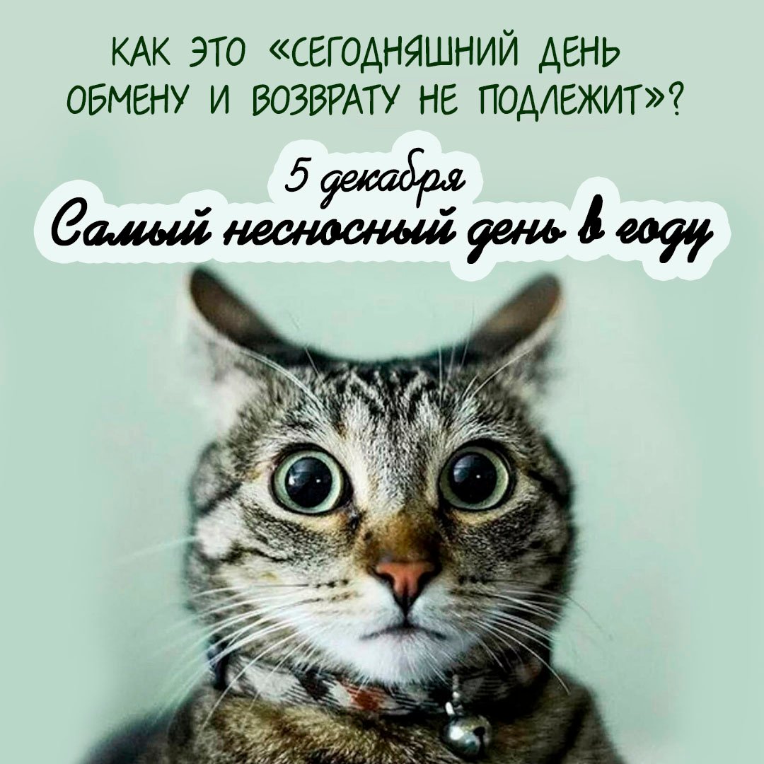 Смешные открытки на Самый несносный день в году 5 Декабря 2023 - 2024 (20 фото)