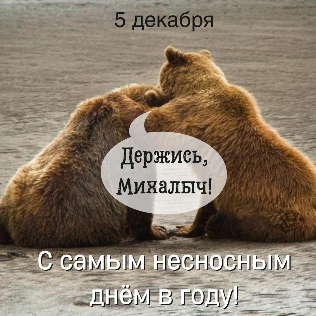 Смешные открытки на Самый несносный день в году 5 Декабря 2023 - 2024 (20 фото)