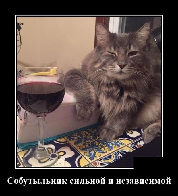 Прикольные открытки с днём Собутыльника 2023 - 2024 (30 фото) Прикольные открытки с днём Собутыльника 2023 - 2024 (30 фото)