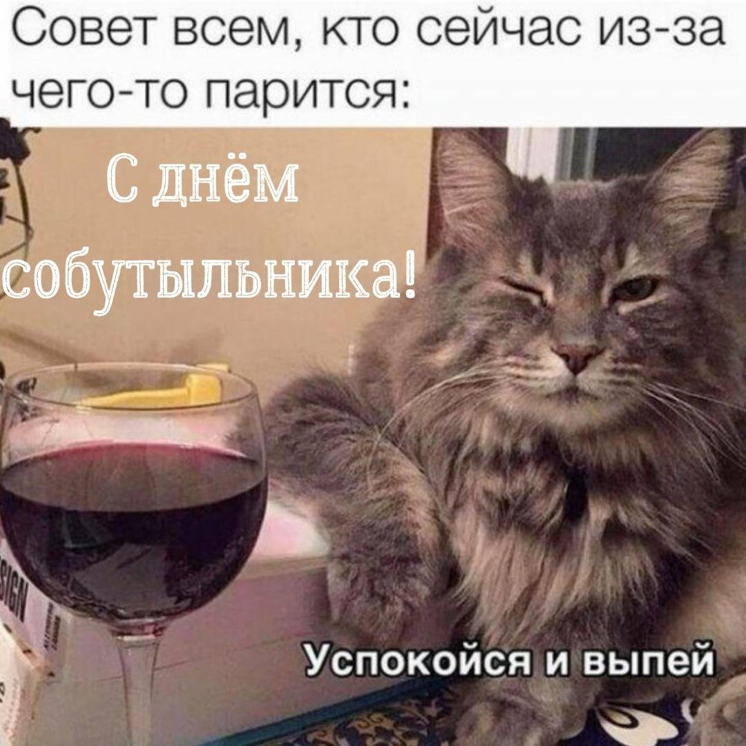 Прикольные открытки с днём Собутыльника 2023 - 2024 (30 фото) Прикольные открытки с днём Собутыльника 2023 - 2024 (30 фото)