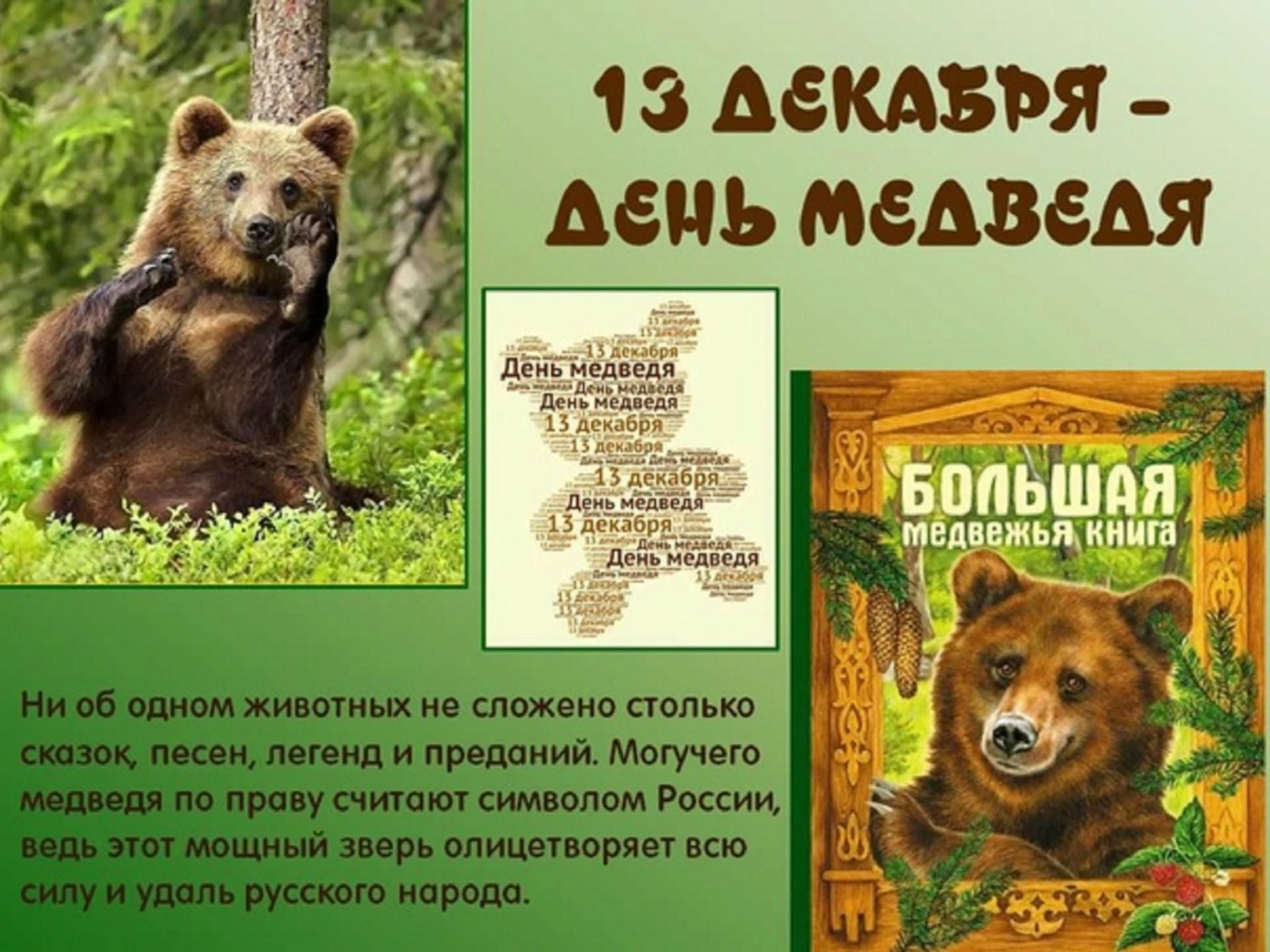 А вы знали, что сегодня День Медведя?