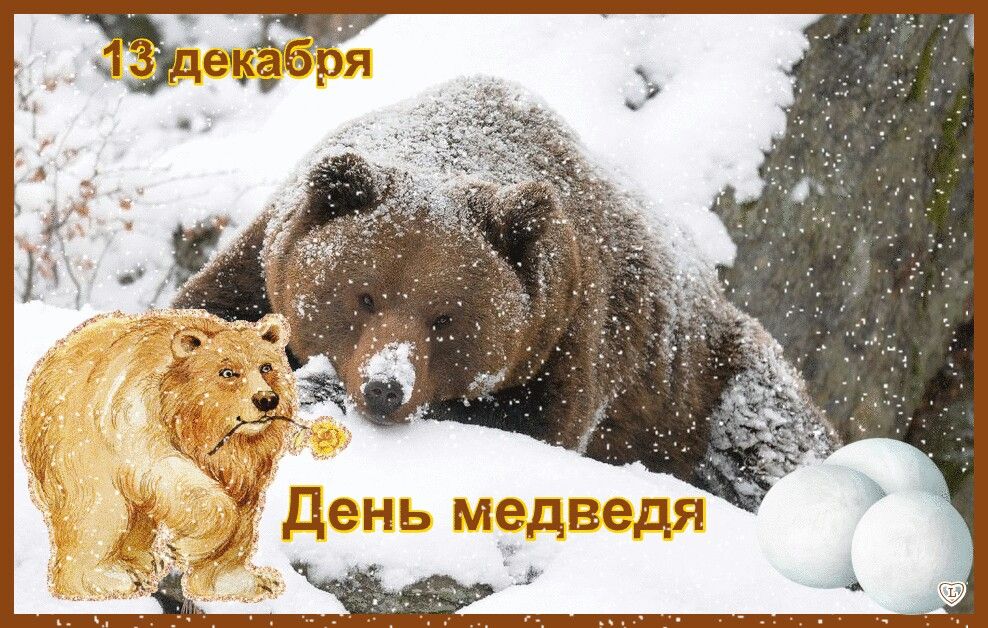 День медведя отмечается ежегодно 13 декабря во многих регионах России.