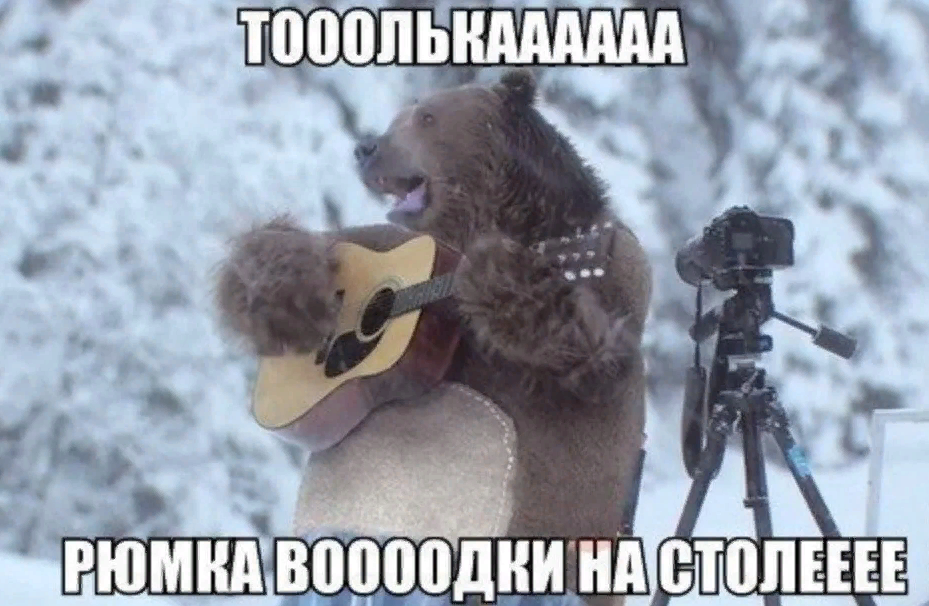 Смешные картинки Всемирный день медведя 13 декабря.