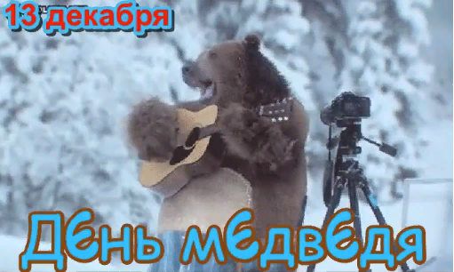 Смешные открытка 13 декабря - День медведя.