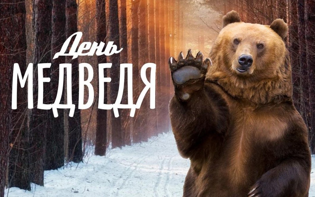 2023 13 декабря - День медведя.