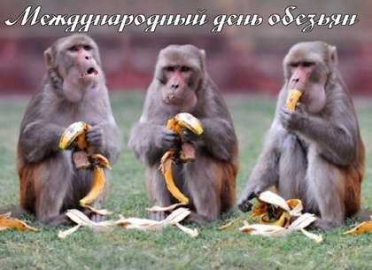 Международный день обезьян открытки