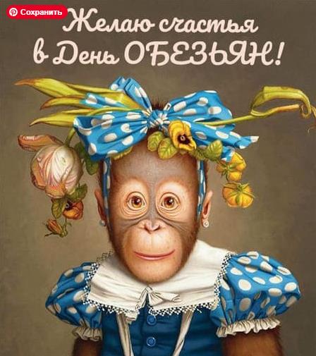 Сегодня Международный день обезьян, или Monkey Day.