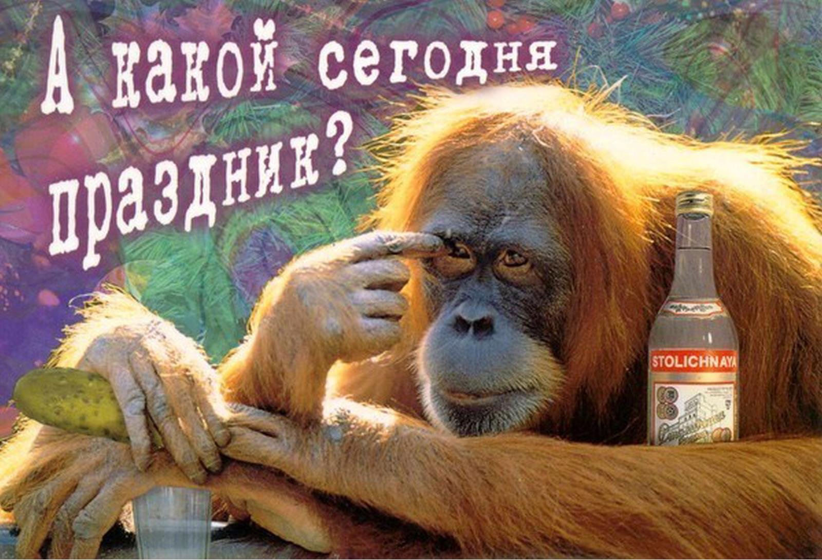Хостинг картинок yapx.ru