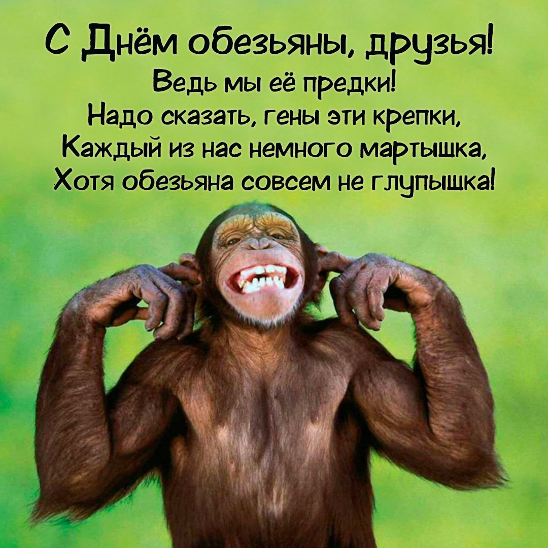 Праздник день обезьян открытки со стихами.