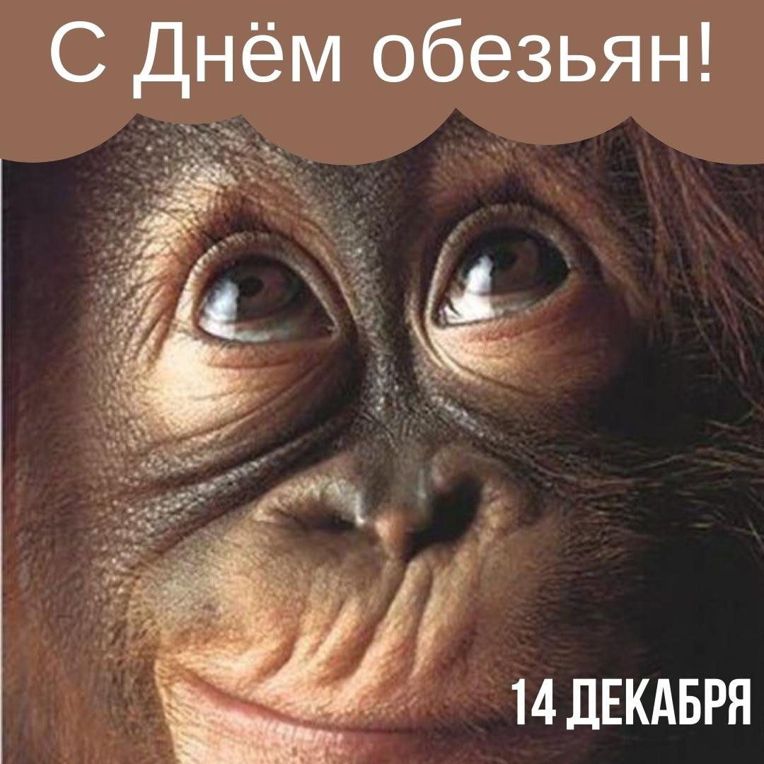 Хостинг картинок yapx.ru