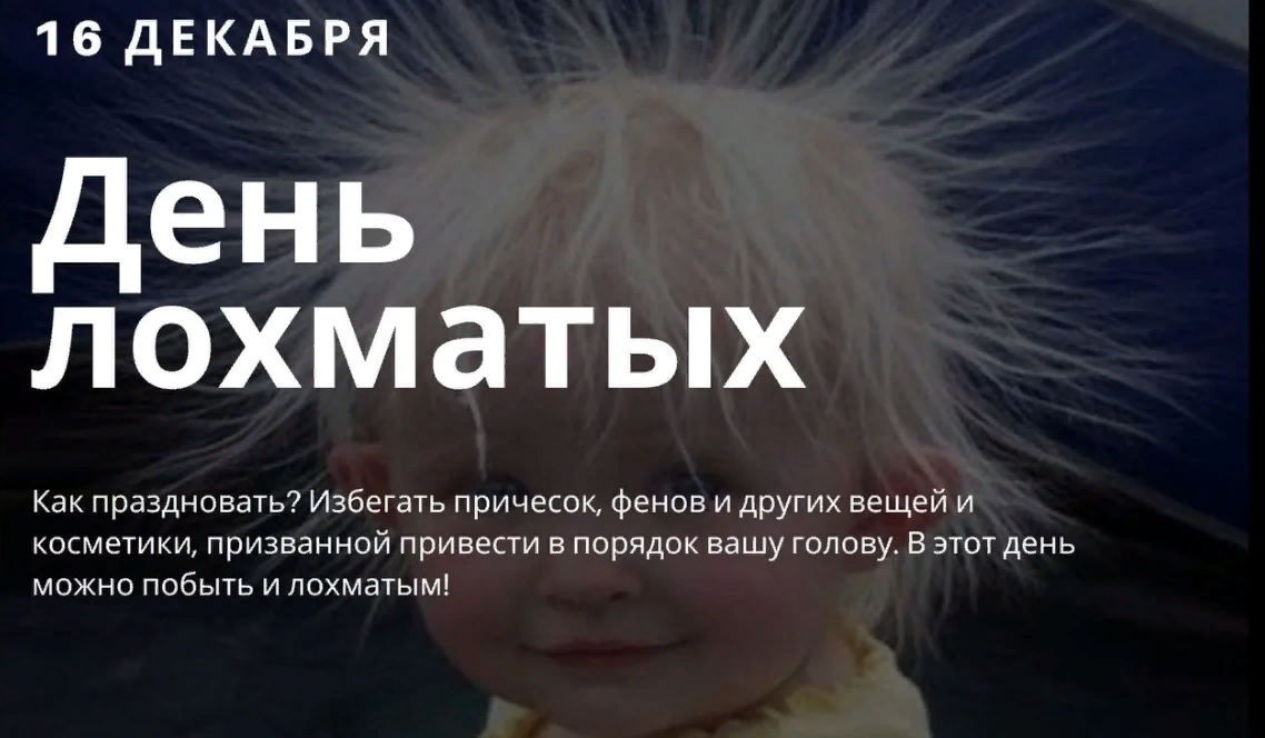 Красивая картинка с Днем лохматых.