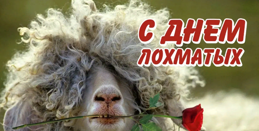 Хостинг картинок yapx.ru