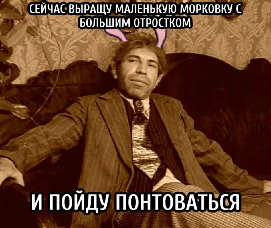 Хостинг картинок yapx.ru