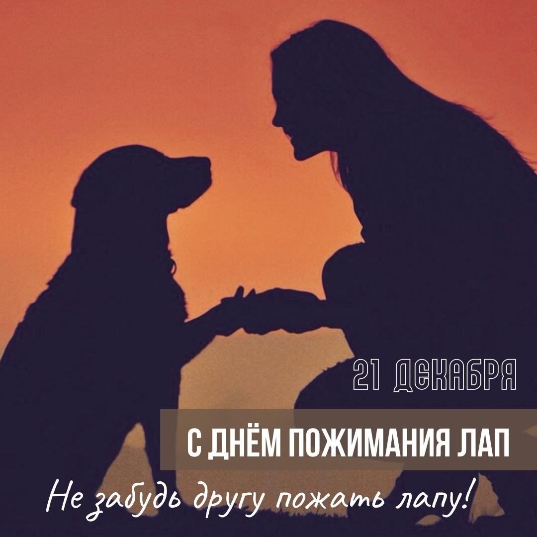Красивая картинка с днём пожимания лап с надписями - Дай друг на счастье лапу. Красивая картинка с днём пожимания лап с надписями - Дай друг на счастье лапу.