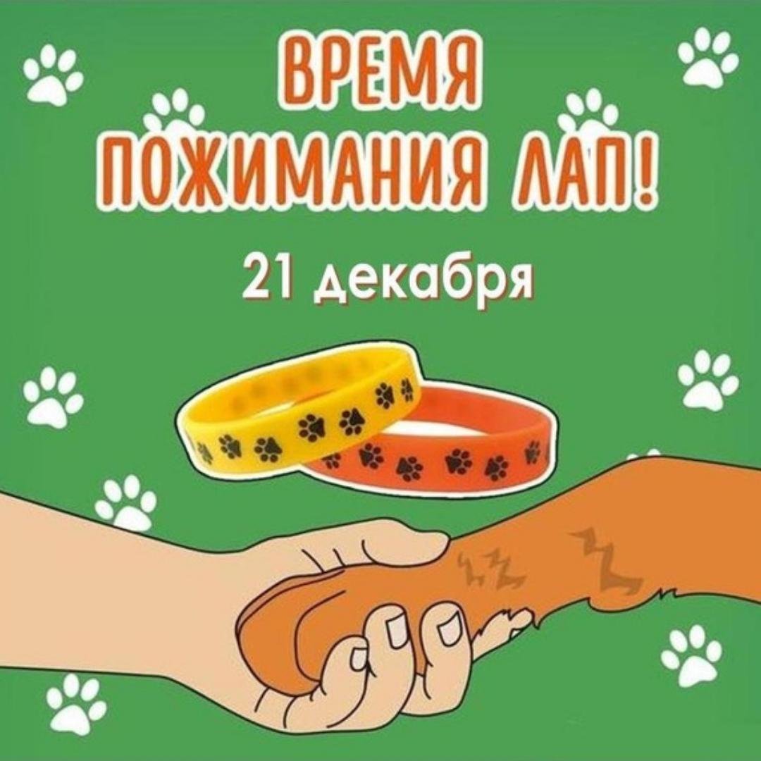 Давай пожмем друг другу лапы Давай пожмем друг другу лапы