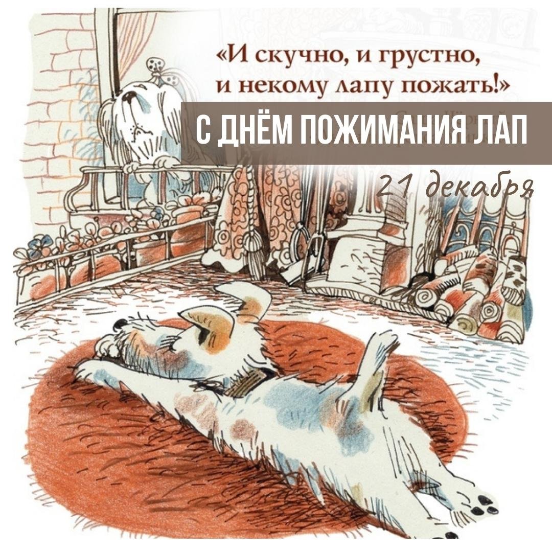 21 Декабря праздник день пожимания лап 21 Декабря праздник день пожимания лап