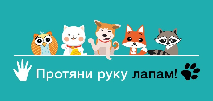 Прикольная картинка с Днем пожимания лап. Прикольная картинка с Днем пожимания лап.