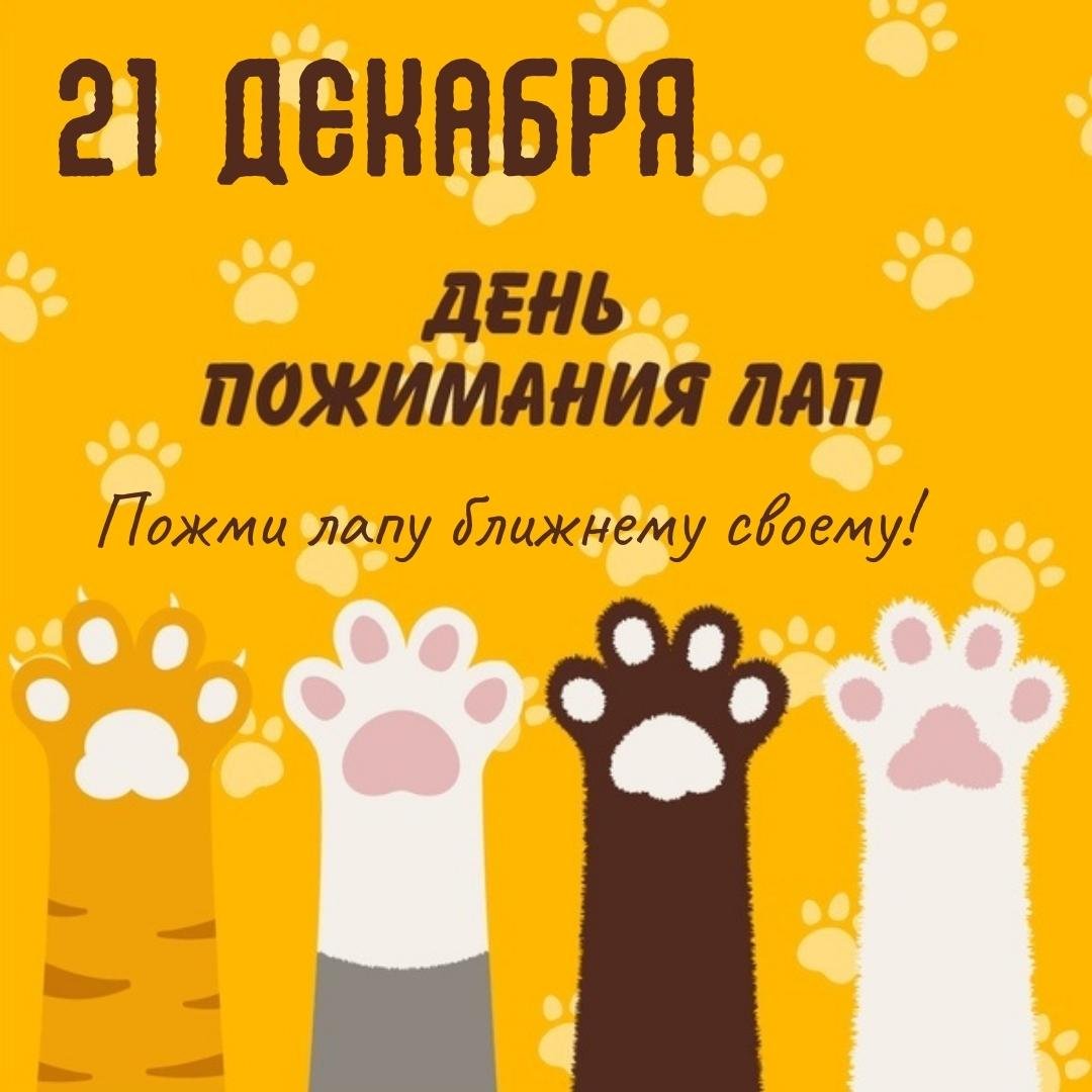 ДАВАЙТЕ ПОЖМЁМ ЛАПЫ! ДАВАЙТЕ ПОЖМЁМ ЛАПЫ!