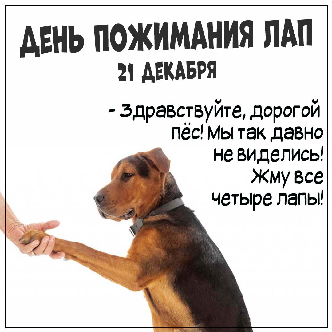 Поздравительная картинка с Днем пожимания лап. Поздравительная картинка с Днем пожимания лап.