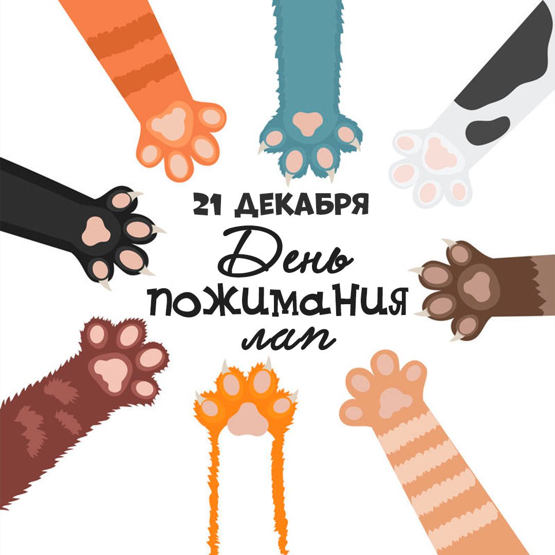 Рисунки для детей День пожимания лап открытки. Рисунки для детей День пожимания лап открытки.