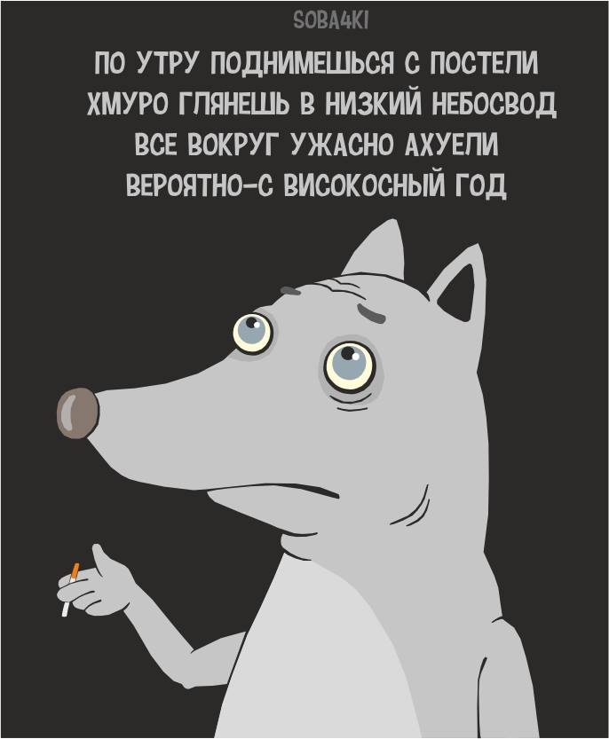 Високосный год 2024 мемы, Шутки про високосный год. Високосный год 2024 мемы, Шутки про високосный год.