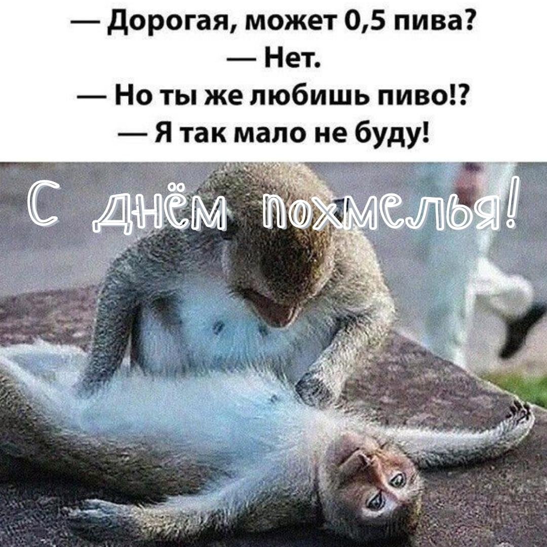 Дорогая, может 0,5 пива? Нет. Но ты же любишь пиво? Я так мало не буду!