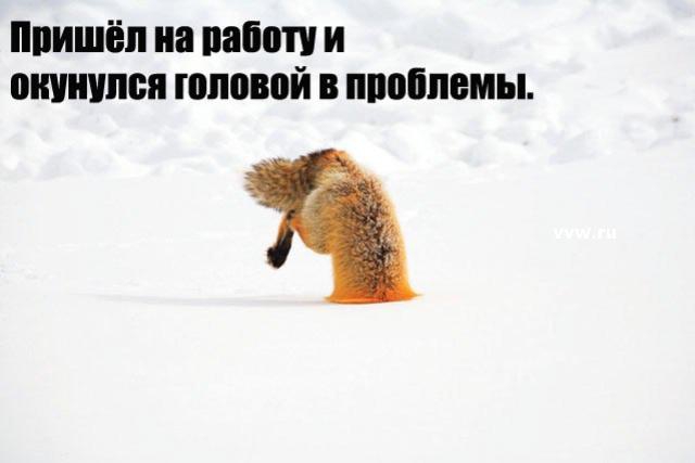 Пришёл на работу и окунулся головой в проблемы.