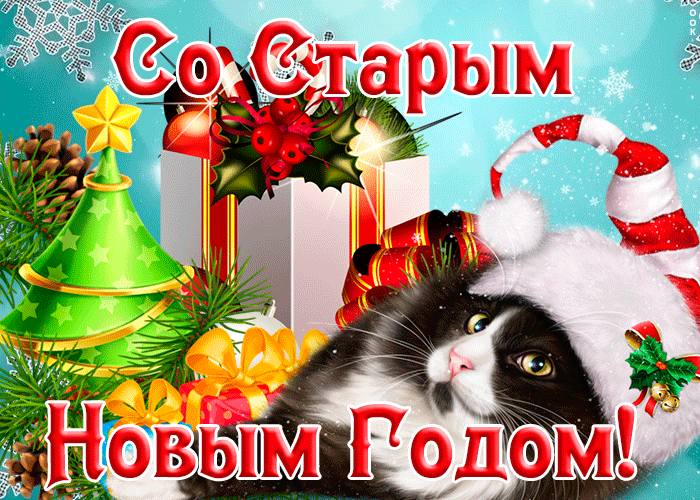 Супер открытка Старый Новый Год с котом.