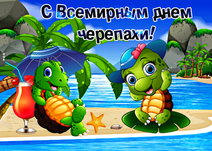 Прикольная открытка Всемирный день черепахи Прикольная открытка Всемирный день черепахи