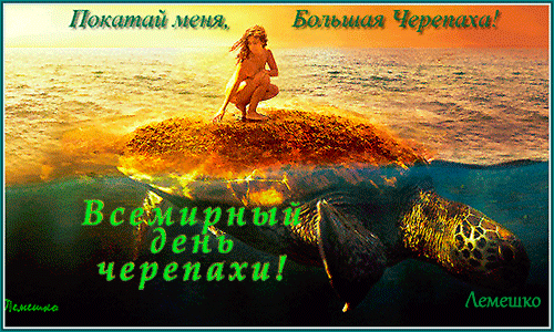 Всемирный день черепахи 23 мая гиф Всемирный день черепахи 23 мая гиф