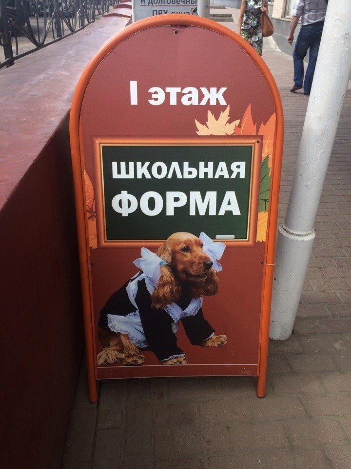 Хостинг картинок yapx.ru
