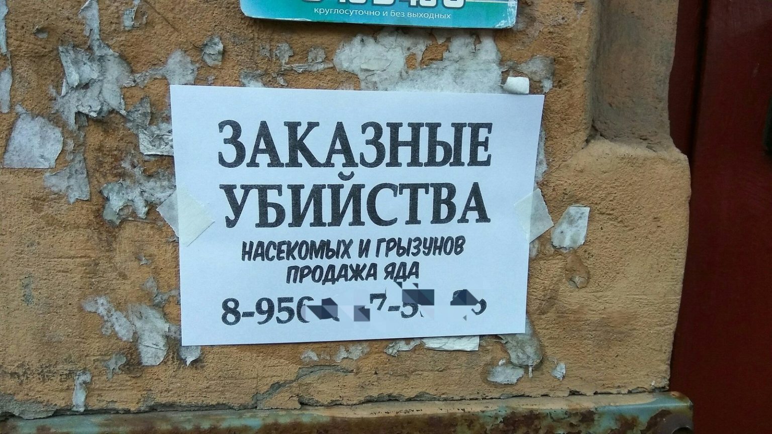 Хостинг картинок yapx.ru