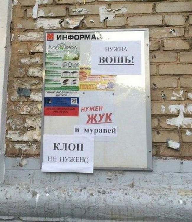 Хостинг картинок yapx.ru