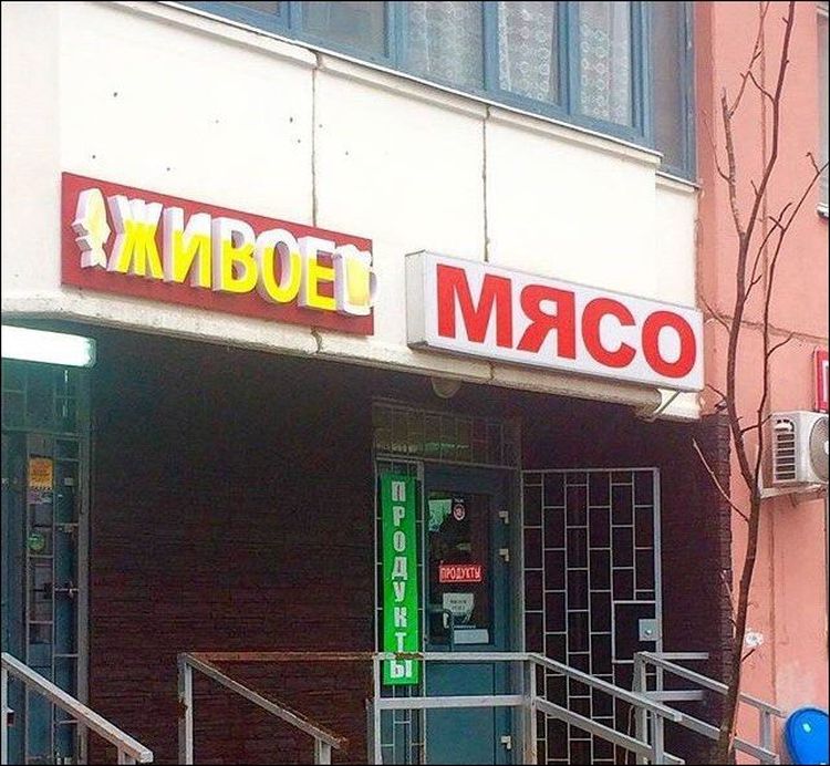 Хостинг картинок yapx.ru