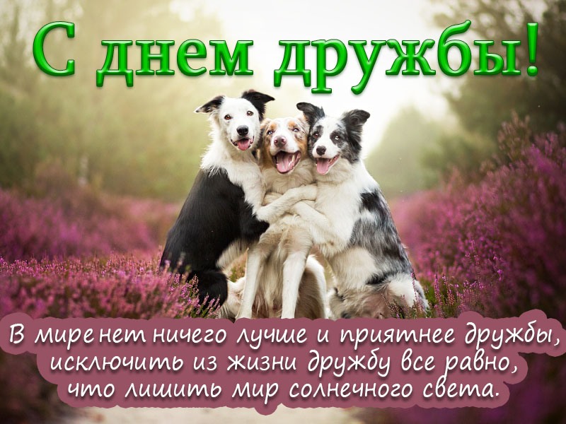 Картинки Международный День Друзей 2023.