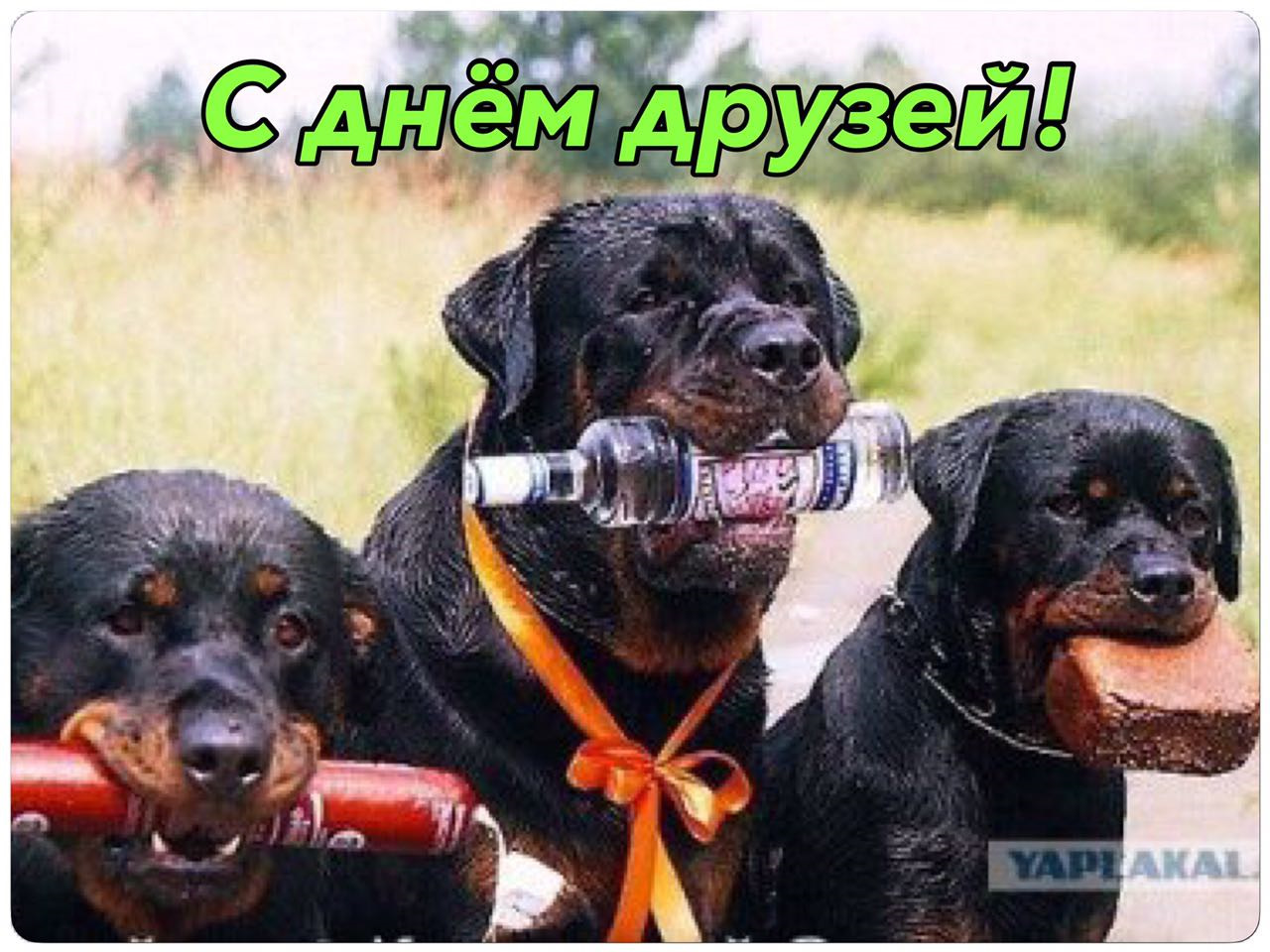 С Днем Лучших Друзей Картинки.