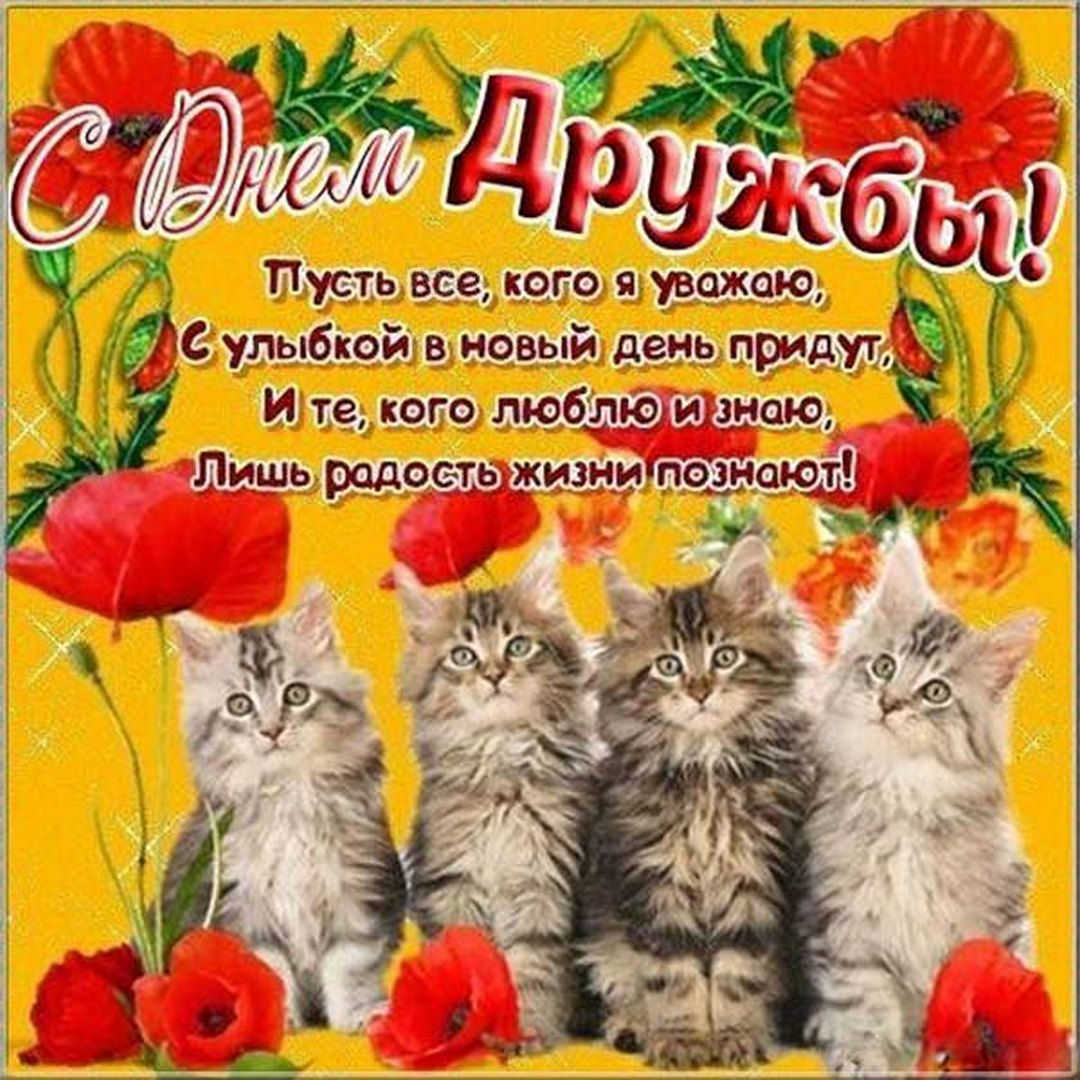 Прикольные картинки к Международному дню дружбы.