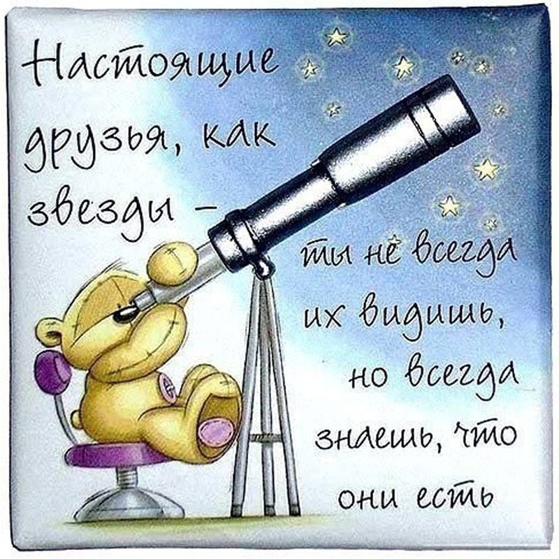 Открытки с днём дружбы прикольные