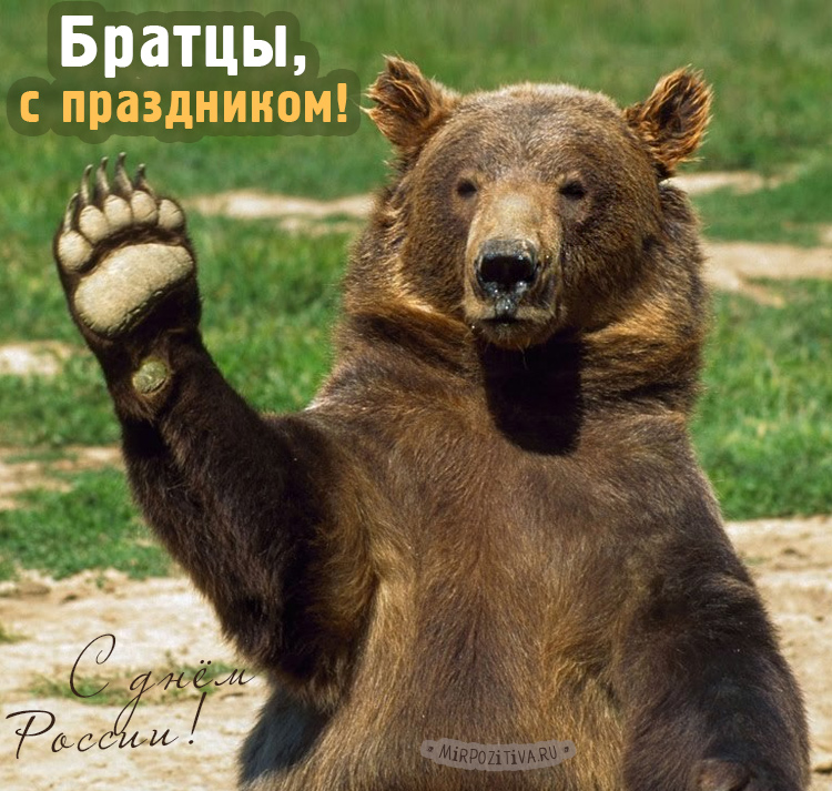 Прикольные картинки с Днем России 12 июня. Прикольные картинки с Днем России 12 июня.