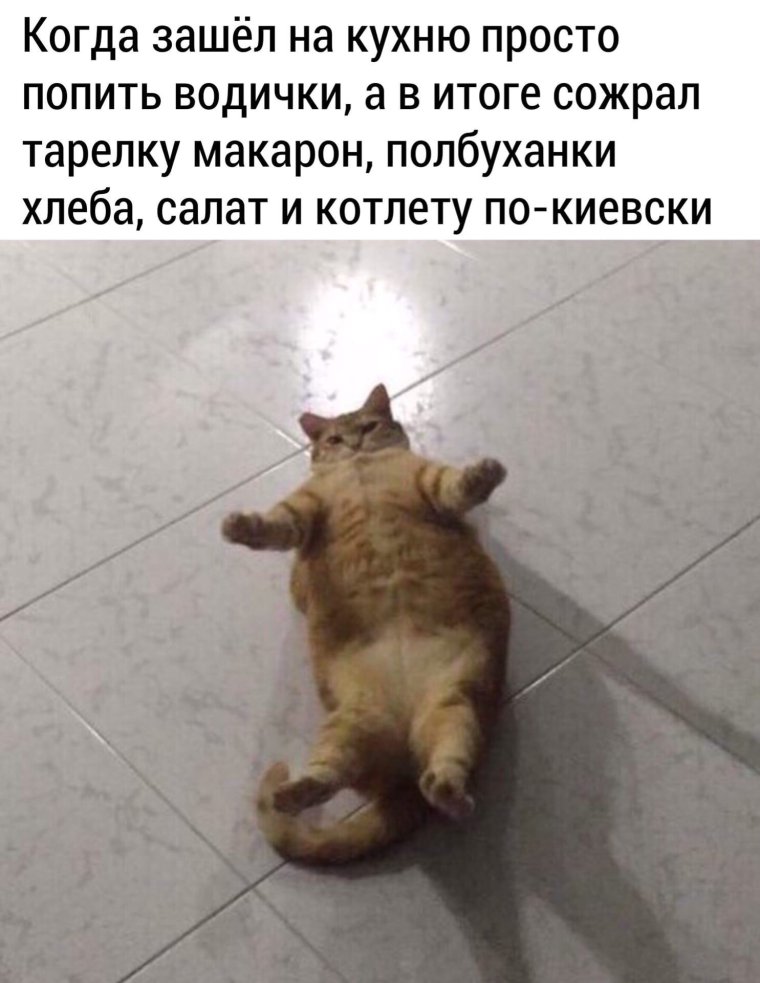 Смешные надписи для поднятия настроения. Смешные надписи для поднятия настроения.