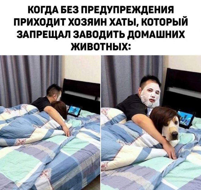 Свежая порция фото-приколов и картинок Свежая порция фото-приколов и картинок