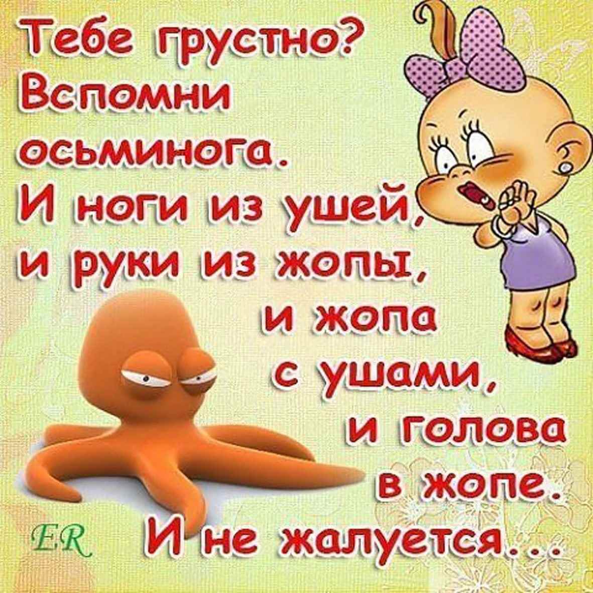 Весёлые картинки для поднятия настроения. Весёлые картинки для поднятия настроения.