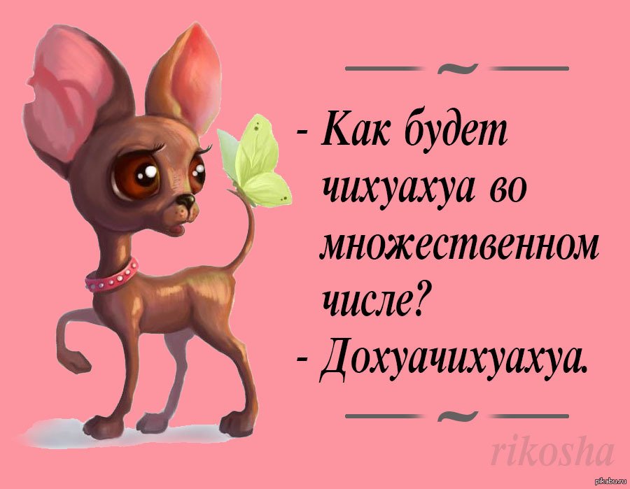 Прикольные афоризмы в картинках для поднятия настроения, Открытки смешные для поднятия настроения с юмором. Прикольные афоризмы в картинках для поднятия настроения, Открытки смешные для поднятия настроения с юмором.