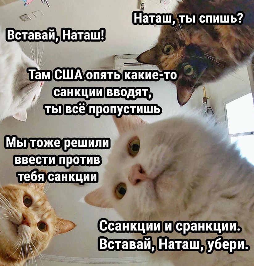 Шутки для поднятия настроения Шутки для поднятия настроения
