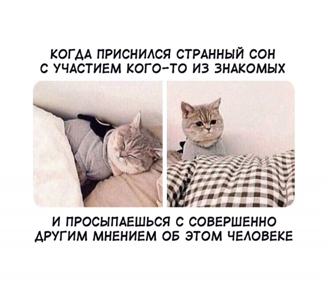 Мемы про настроение Мемы про настроение