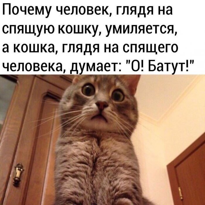 Свежие мемы и картинки поднимающие настроение. Свежие мемы и картинки поднимающие настроение.