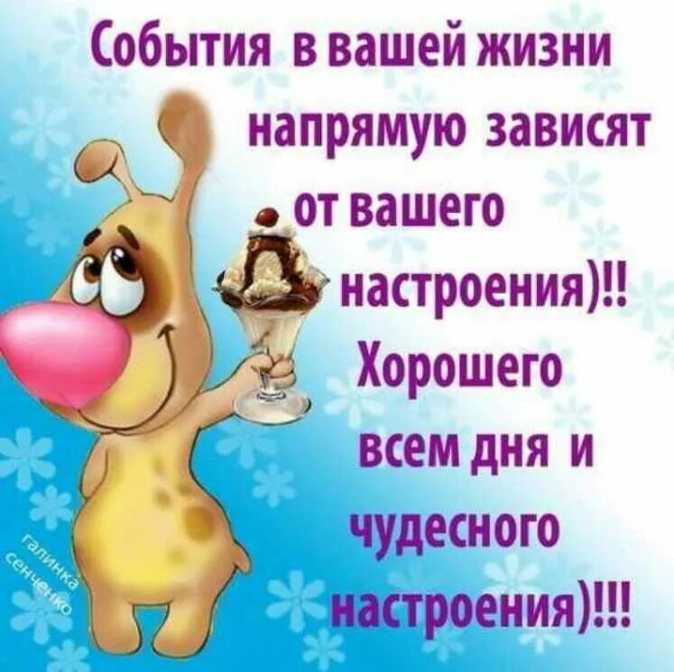 Открытки для поднятия настроения мужчине Открытки для поднятия настроения мужчине