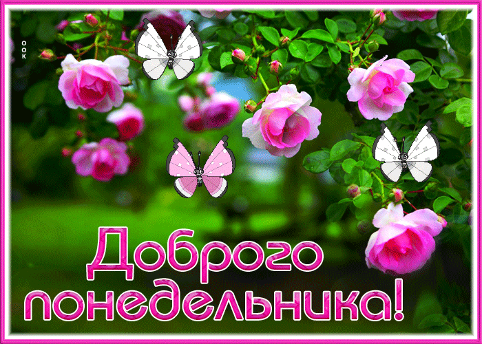 Удивительная открытка Удачного понедельника! Удивительная открытка Удачного понедельника!