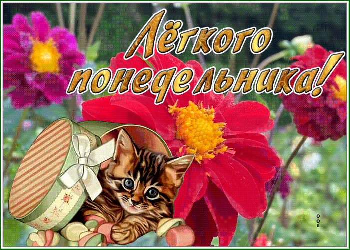 Понедельник! Любите жизнь! Вам с ней еще жить и жить Понедельник! Любите жизнь! Вам с ней еще жить и жить