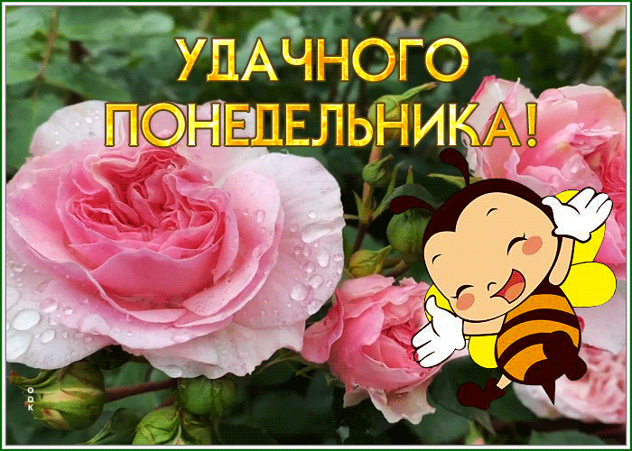 Открытки с добрым утром прекрасного летнего понедельника. Открытки с добрым утром прекрасного летнего понедельника.